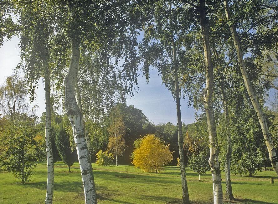 West Lodge Park Μπάρνετ Εξωτερικό φωτογραφία